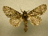  ( - 10-CRBS-119)  @13 [ ] Unspecified (default): All Rights Reserved  Unspecified Unspecified