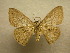  ( - 10-CRBS-131)  @13 [ ] Unspecified (default): All Rights Reserved  Unspecified Unspecified