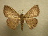  ( - 10-CRBS-146)  @13 [ ] Unspecified (default): All Rights Reserved  Unspecified Unspecified