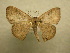  ( - 10-CRBS-147)  @14 [ ] Unspecified (default): All Rights Reserved  Unspecified Unspecified