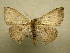  ( - 10-CRBS-148)  @13 [ ] Unspecified (default): All Rights Reserved  Unspecified Unspecified