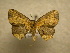  ( - 10-CRBS-152)  @14 [ ] Unspecified (default): All Rights Reserved  Unspecified Unspecified