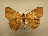  ( - 10-CRBS-154)  @13 [ ] Unspecified (default): All Rights Reserved  Unspecified Unspecified