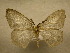  ( - 10-CRBS-163)  @14 [ ] Unspecified (default): All Rights Reserved  Unspecified Unspecified
