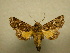  ( - 10-CRBS-184)  @14 [ ] Unspecified (default): All Rights Reserved  Unspecified Unspecified