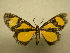  ( - 10-CRBS-185)  @13 [ ] Unspecified (default): All Rights Reserved  Unspecified Unspecified