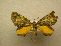  ( - 10-CRBS-186)  @13 [ ] Unspecified (default): All Rights Reserved  Unspecified Unspecified