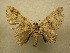  ( - 10-CRBS-194)  @12 [ ] Unspecified (default): All Rights Reserved  Unspecified Unspecified