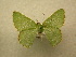  ( - 10-CRBS-205)  @13 [ ] Unspecified (default): All Rights Reserved  Unspecified Unspecified