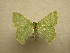  ( - 10-CRBS-206)  @13 [ ] Unspecified (default): All Rights Reserved  Unspecified Unspecified