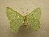  ( - 10-CRBS-207)  @13 [ ] Unspecified (default): All Rights Reserved  Unspecified Unspecified