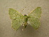  ( - 10-CRBS-210)  @13 [ ] Unspecified (default): All Rights Reserved  Unspecified Unspecified