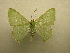  ( - 10-CRBS-211)  @13 [ ] Unspecified (default): All Rights Reserved  Unspecified Unspecified