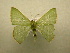  ( - 10-CRBS-213)  @14 [ ] Unspecified (default): All Rights Reserved  Unspecified Unspecified
