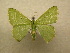  ( - 10-CRBS-215)  @13 [ ] Unspecified (default): All Rights Reserved  Unspecified Unspecified