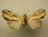  ( - 10-CRBS-275)  @14 [ ] Unspecified (default): All Rights Reserved  Unspecified Unspecified