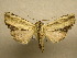  ( - 10-CRBS-276)  @14 [ ] Unspecified (default): All Rights Reserved  Unspecified Unspecified