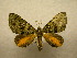  ( - 10-CRBS-279)  @14 [ ] Unspecified (default): All Rights Reserved  Unspecified Unspecified