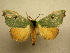  ( - 10-CRBS-302)  @13 [ ] Unspecified (default): All Rights Reserved  Unspecified Unspecified