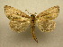  ( - 10-CRBS-304)  @13 [ ] Unspecified (default): All Rights Reserved  Unspecified Unspecified