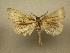  (Heorta Sullivan9526 - 10-CRBS-305)  @14 [ ] Unspecified (default): All Rights Reserved  Unspecified Unspecified