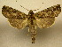  ( - 10-CRBS-315)  @14 [ ] Unspecified (default): All Rights Reserved  Unspecified Unspecified