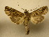  ( - 10-CRBS-316)  @14 [ ] Unspecified (default): All Rights Reserved  Unspecified Unspecified