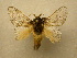  ( - 10-CRBS-326)  @13 [ ] Unspecified (default): All Rights Reserved  Unspecified Unspecified
