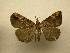  ( - 10-CRBS-366)  @13 [ ] Unspecified (default): All Rights Reserved  Unspecified Unspecified