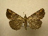  ( - 10-CRBS-367)  @14 [ ] Unspecified (default): All Rights Reserved  Unspecified Unspecified