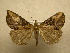  ( - 10-CRBS-369)  @13 [ ] Unspecified (default): All Rights Reserved  Unspecified Unspecified