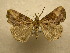  ( - 10-CRBS-370)  @13 [ ] Unspecified (default): All Rights Reserved  Unspecified Unspecified