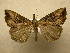  ( - 10-CRBS-372)  @14 [ ] Unspecified (default): All Rights Reserved  Unspecified Unspecified