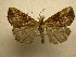  ( - 10-CRBS-373)  @13 [ ] Unspecified (default): All Rights Reserved  Unspecified Unspecified