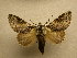  ( - 10-CRBS-390)  @14 [ ] Unspecified (default): All Rights Reserved  Unspecified Unspecified