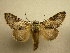  ( - 10-CRBS-391)  @14 [ ] Unspecified (default): All Rights Reserved  Unspecified Unspecified
