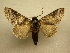  ( - 10-CRBS-392)  @14 [ ] Unspecified (default): All Rights Reserved  Unspecified Unspecified