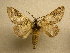  ( - 10-CRBS-395)  @14 [ ] Unspecified (default): All Rights Reserved  Unspecified Unspecified