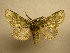  (Disphragis Sullivan5896 - 10-CRBS-403)  @14 [ ] Unspecified (default): All Rights Reserved  Unspecified Unspecified
