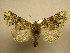  ( - 10-CRBS-404)  @14 [ ] Unspecified (default): All Rights Reserved  Unspecified Unspecified