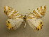  ( - 10-CRBS-417)  @13 [ ] Unspecified (default): All Rights Reserved  Unspecified Unspecified