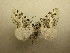  ( - 10-CRBS-418)  @14 [ ] Unspecified (default): All Rights Reserved  Unspecified Unspecified