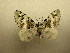  ( - 10-CRBS-419)  @14 [ ] Unspecified (default): All Rights Reserved  Unspecified Unspecified
