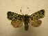  ( - 10-CRBS-456)  @14 [ ] Unspecified (default): All Rights Reserved  Unspecified Unspecified