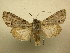  ( - 10-CRBS-470)  @14 [ ] Unspecified (default): All Rights Reserved  Unspecified Unspecified