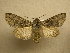  ( - 10-CRBS-472)  @14 [ ] Unspecified (default): All Rights Reserved  Unspecified Unspecified