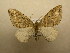  ( - 10-CRBS-490)  @14 [ ] Unspecified (default): All Rights Reserved  Unspecified Unspecified