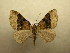  ( - 10-CRBS-496)  @13 [ ] Unspecified (default): All Rights Reserved  Unspecified Unspecified