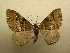  ( - 10-CRBS-498)  @14 [ ] Unspecified (default): All Rights Reserved  Unspecified Unspecified