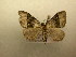  ( - 10-CRBS-508)  @13 [ ] Unspecified (default): All Rights Reserved  Unspecified Unspecified